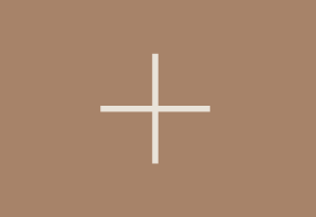 plus icon